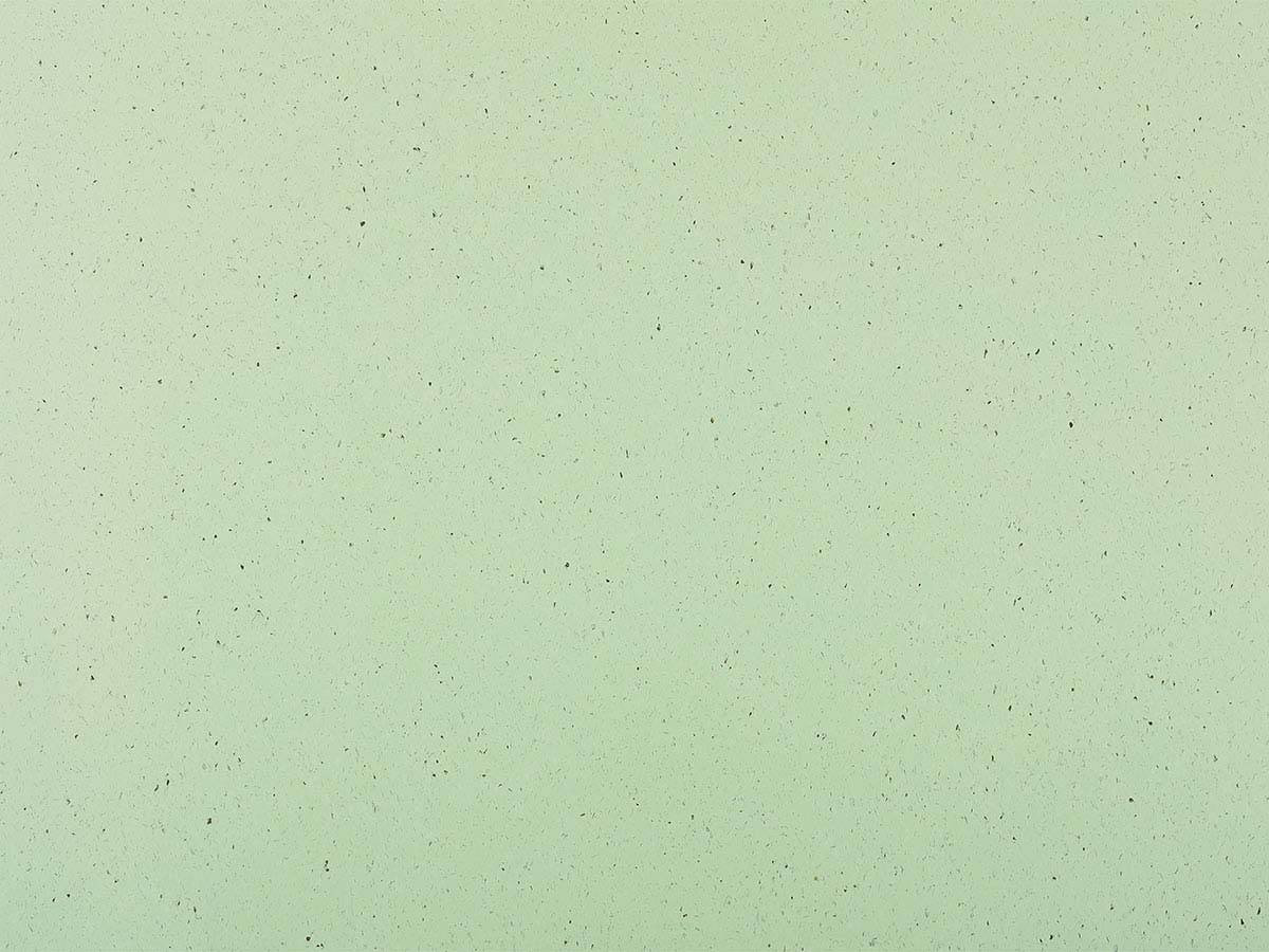 SMU 4209