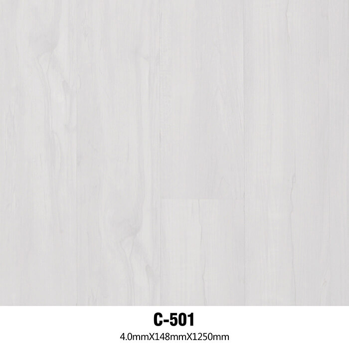 C501